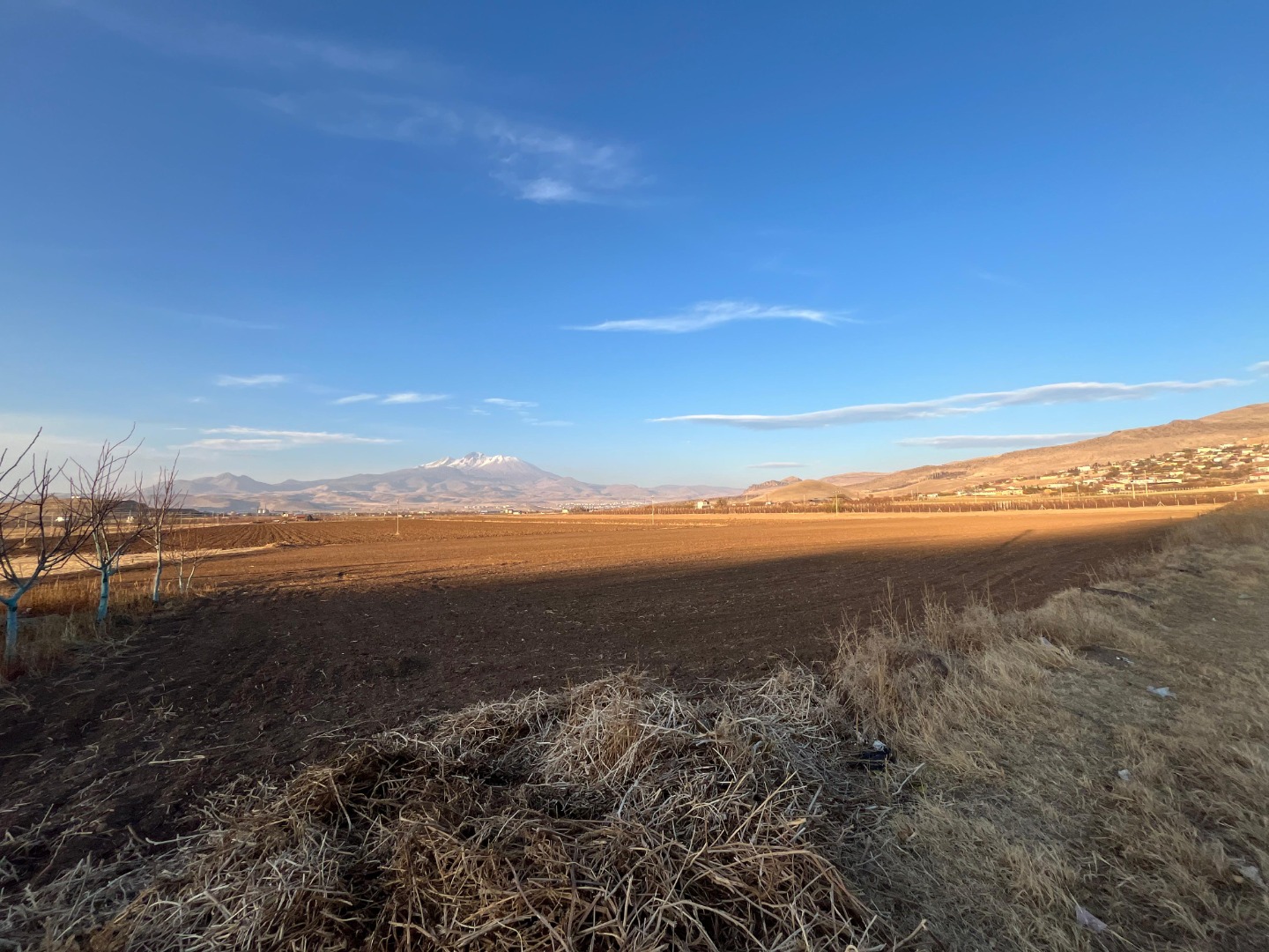 KAYSERİ DEVELİ TOMBAK MAHALLESİNDE SATILIK TARLA